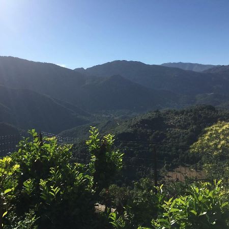 Gite , Maison De Vacances Avec Exterieur Et Terrasse Fleurie Meuble Tourisme 3 Etoiles Santa-Lucia-di-Tallano Экстерьер фото