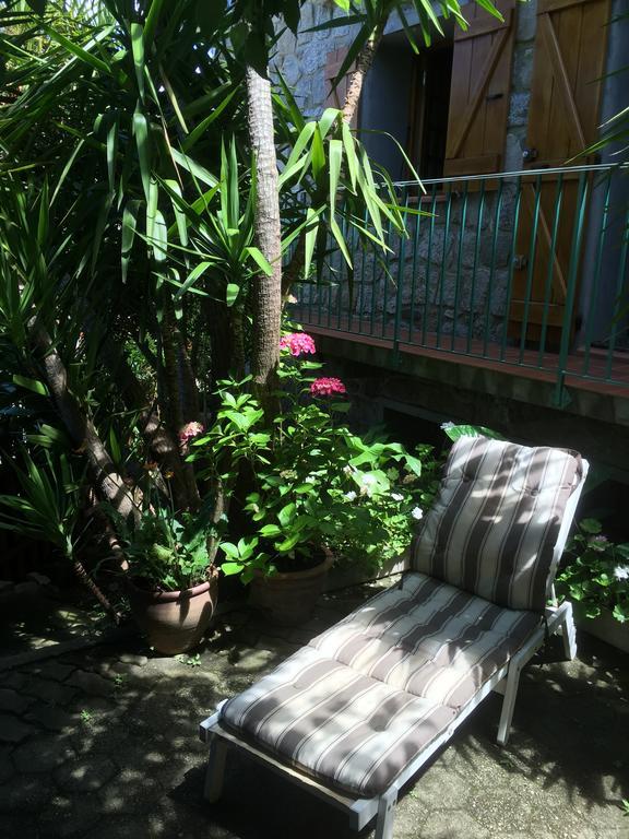 Gite , Maison De Vacances Avec Exterieur Et Terrasse Fleurie Meuble Tourisme 3 Etoiles Santa-Lucia-di-Tallano Экстерьер фото