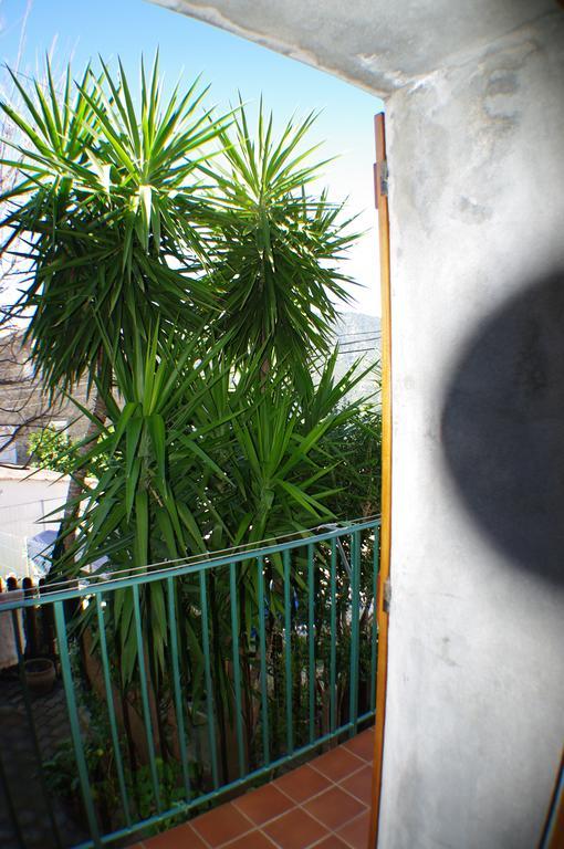 Gite , Maison De Vacances Avec Exterieur Et Terrasse Fleurie Meuble Tourisme 3 Etoiles Santa-Lucia-di-Tallano Экстерьер фото