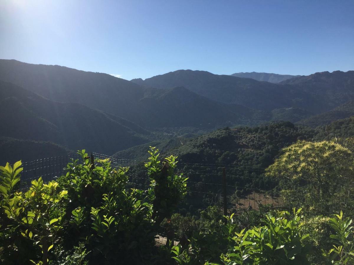 Gite , Maison De Vacances Avec Exterieur Et Terrasse Fleurie Meuble Tourisme 3 Etoiles Santa-Lucia-di-Tallano Экстерьер фото