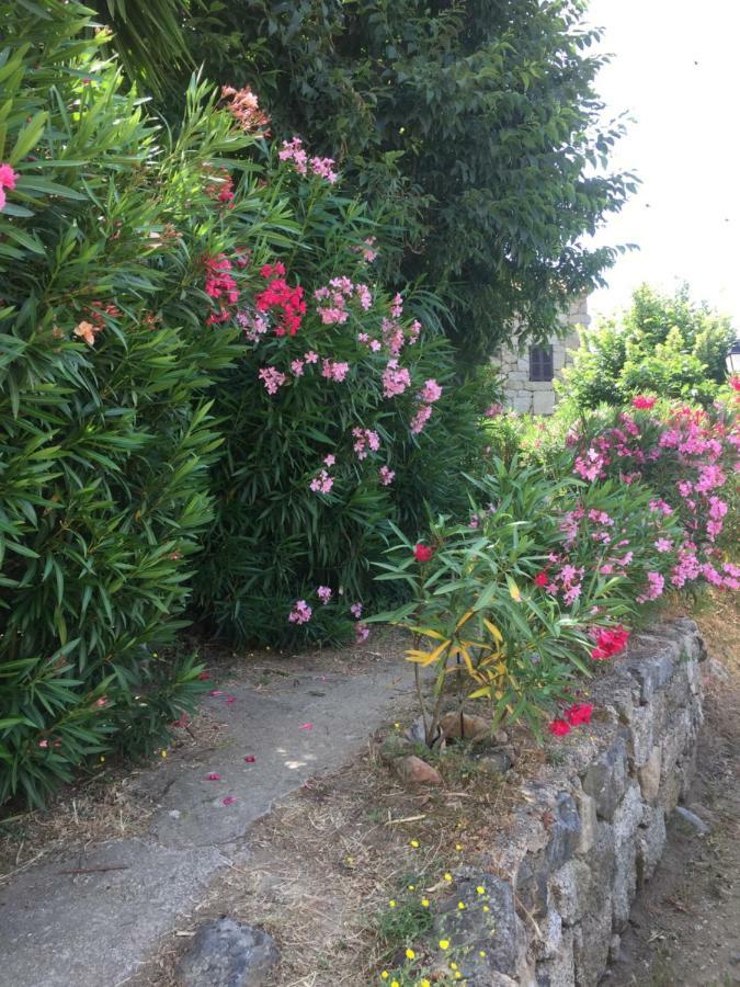 Gite , Maison De Vacances Avec Exterieur Et Terrasse Fleurie Meuble Tourisme 3 Etoiles Santa-Lucia-di-Tallano Экстерьер фото