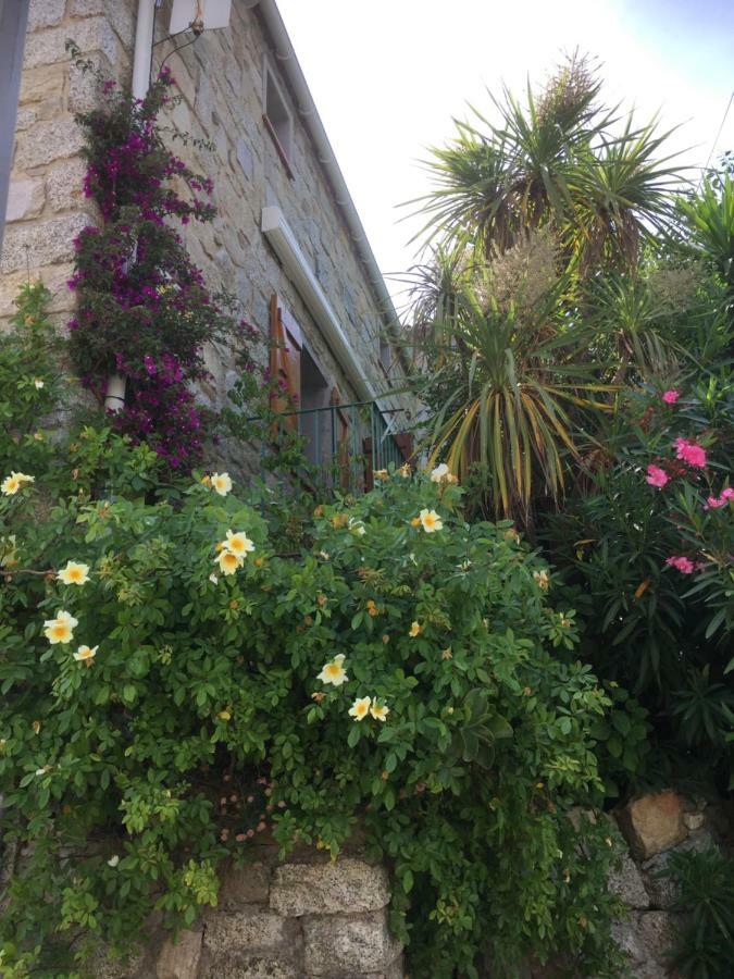 Gite , Maison De Vacances Avec Exterieur Et Terrasse Fleurie Meuble Tourisme 3 Etoiles Santa-Lucia-di-Tallano Экстерьер фото